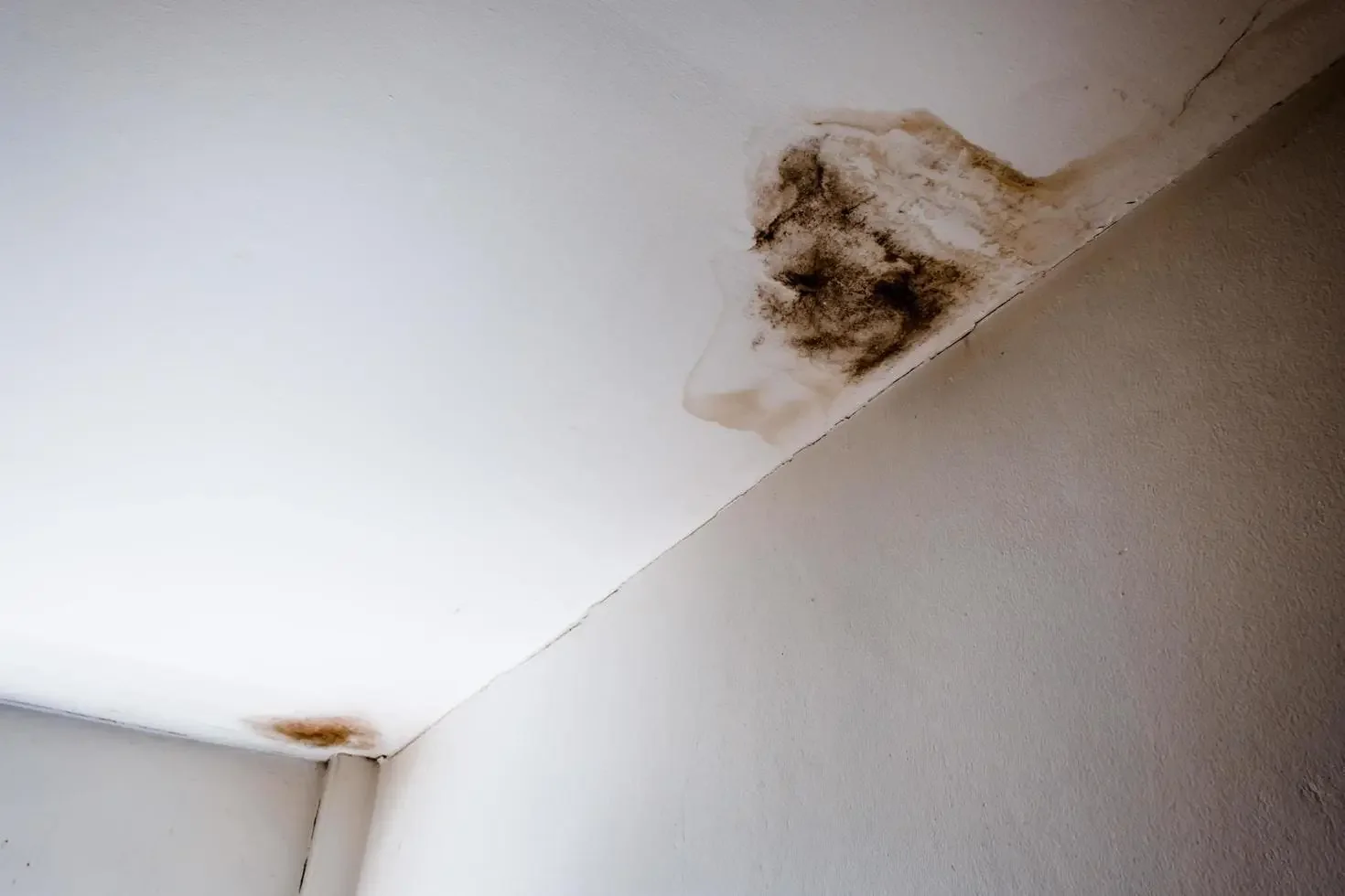Ceiling Damage ceiling damage