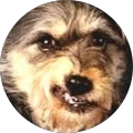 Courtenay – Google reviewer Google profile photo for Courtenay