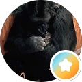 Joe Melton – Google reviewer Google profile photo for Joe Melton