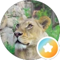joanna riggins (Jo) – Google reviewer Google profile photo for joanna riggins (Jo)