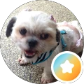 Stacy Genovese – Google reviewer Google profile photo for Stacy Genovese