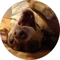 David Shack – Google reviewer Google profile photo for David Shack