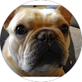 Jeff Chandler – Google reviewer Google profile photo for Jeff Chandler