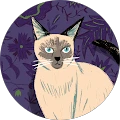 Karen Hardcastle – Google reviewer Google profile photo for Karen Hardcastle