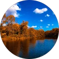 One Citizen – Google reviewer Google profile photo for One Citizen