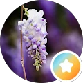 Renata Sharman – Google reviewer Google profile photo for Renata Sharman