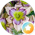 D A – Google reviewer Google profile photo for D A
