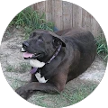 Lucy K – Google reviewer Google profile photo for Lucy K