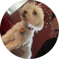 Marissa Jones – Google reviewer Google profile photo for Marissa Jones