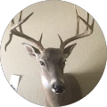 Jay Shippy – Google reviewer Google profile photo for Jay Shippy