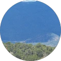 nss dem – Google reviewer Google profile photo for nss dem