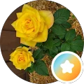 Jerrie Brewer – Google reviewer Google profile photo for Jerrie Brewer