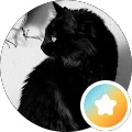 Jennifer Sapp – Google reviewer Google profile photo for Jennifer Sapp