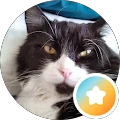 Sharon Wilson – Google reviewer Google profile photo for Sharon Wilson