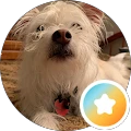 Donald Berry – Google reviewer Google profile photo for Donald Berry