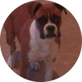 Charles Page Jr. – Google reviewer Google profile photo for Charles Page Jr.