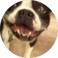 Holly Rodriguez – Google reviewer Google profile photo for Holly Rodriguez