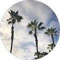 KJ – Google reviewer Google profile photo for KJ