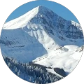Tim Kick – Google reviewer Google profile photo for Tim Kick