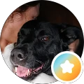 Aurora – Google reviewer Google profile photo for Aurora