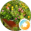 CA M – Google reviewer Google profile photo for CA M