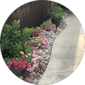 Calvin Rutledge – Google reviewer Google profile photo for Calvin Rutledge